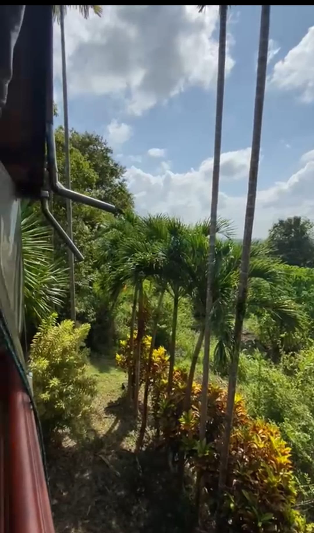 Tropische Landschaft und Natur rund um LandOfSmile in Krabi